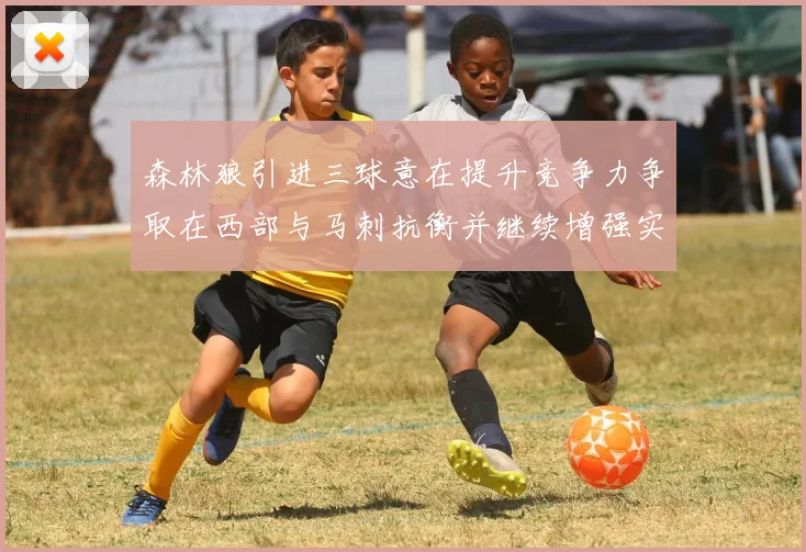 森林狼引进三球意在提升竞争力争取在西部与马刺抗衡并继续增强实力